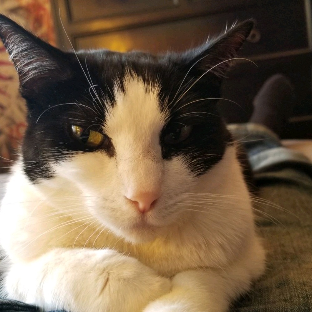 Meet your Posher, Amber